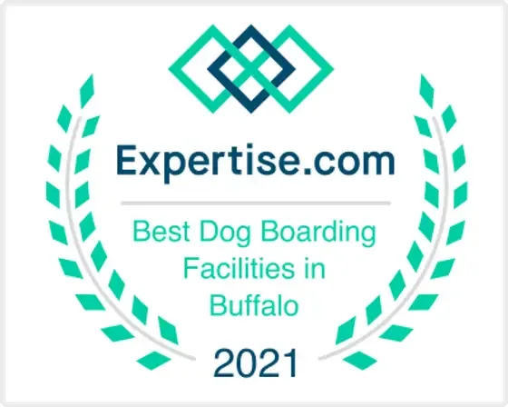 ny buffalo dog boarding 2021 webp.png