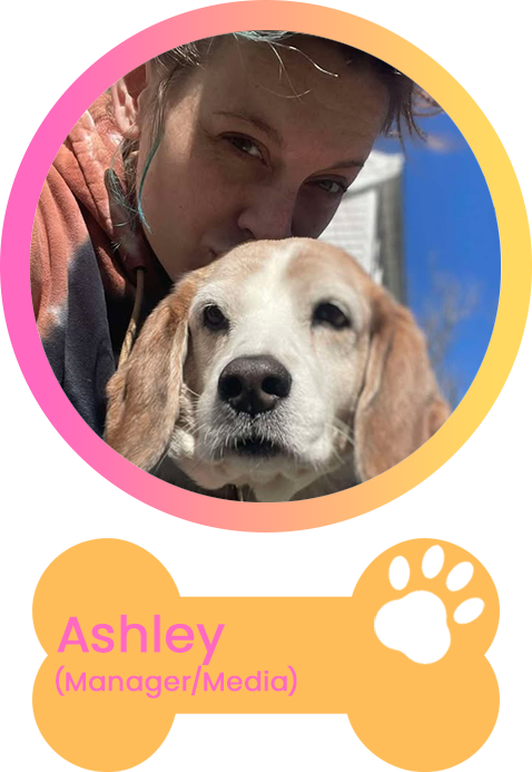 ashley